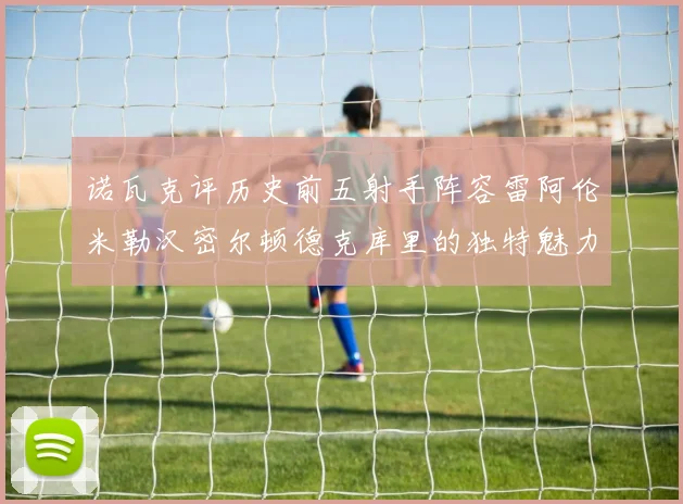 诺瓦克评历史前五射手阵容雷阿伦米勒汉密尔顿德克库里的独特魅力与影响