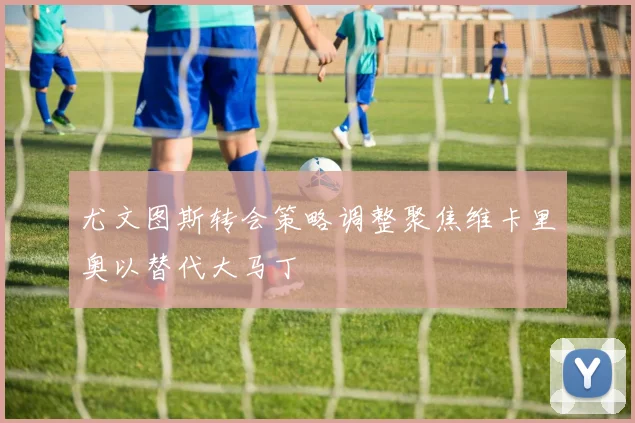 尤文图斯转会策略调整聚焦维卡里奥以替代大马丁
